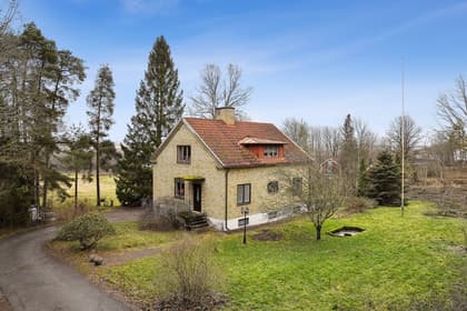 Bild av trädgården