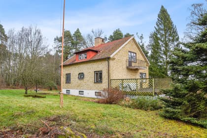 Bild av trädgården