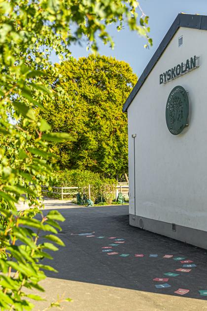 Bild av trädgården