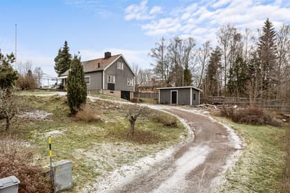 Bild av trädgården