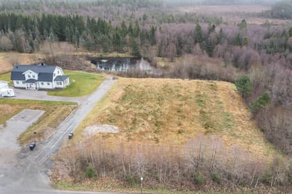 Bild av trädgården