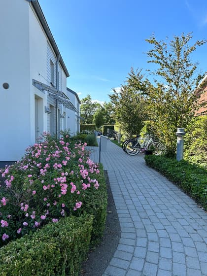 Bild av trädgården