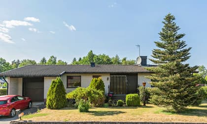 Bild av trädgården