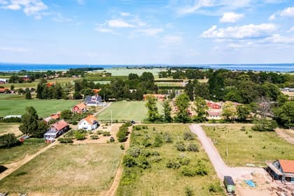 Bild av trädgården