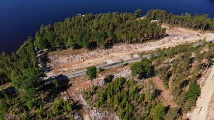 Bild av trädgården