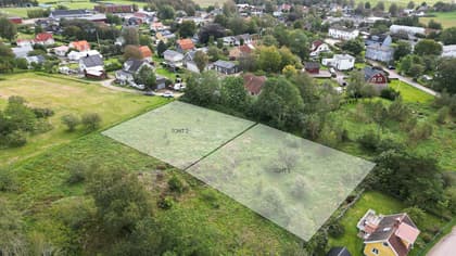 Bild av trädgården