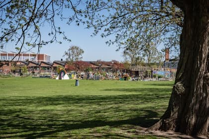 Bild av trädgården