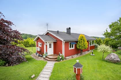 Bild av trädgården