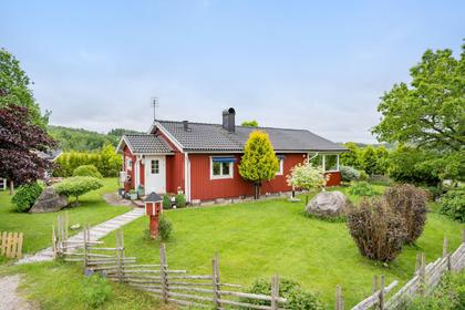 Bild av trädgården