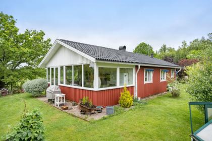 Bild av trädgården