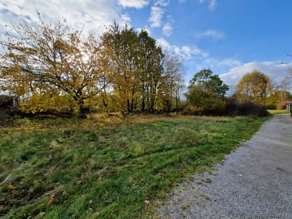 Bild av trädgården