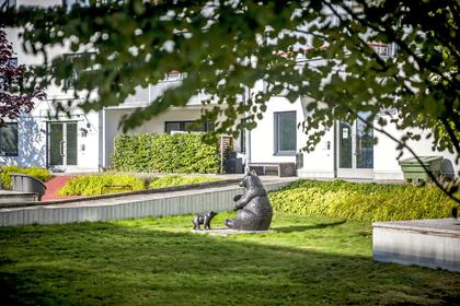 Bild av trädgården