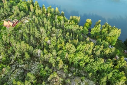 Bild av trädgården