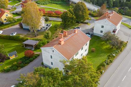 Bild av trädgården