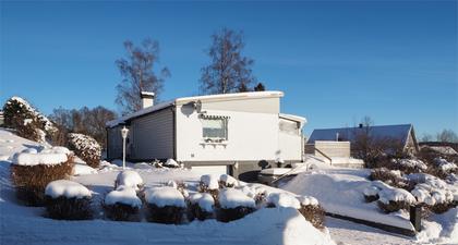 Bild av trädgården