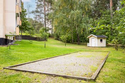 Bild av trädgården