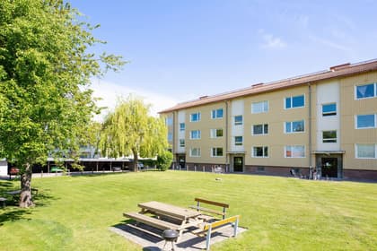 Bild av trädgården