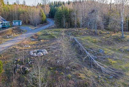 Bild av trädgården