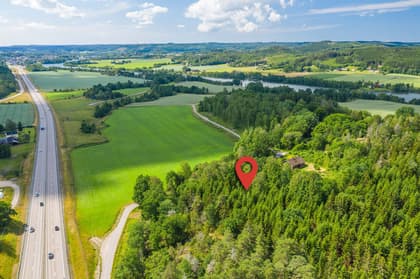 Bild av trädgården