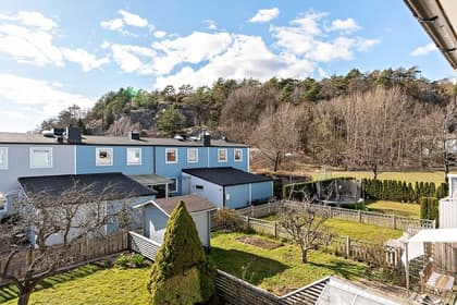 Bild av trädgården