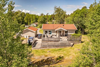 Bild av trädgården