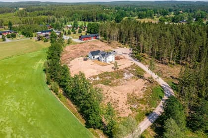 Bild av trädgården