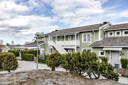 Bild av trädgården