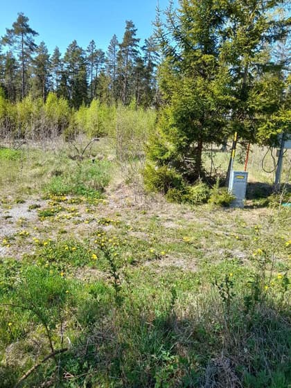 Bild av trädgården