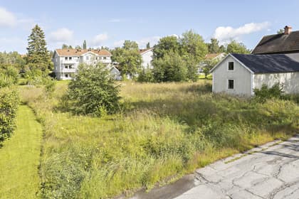 Bild av trädgården