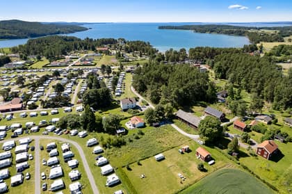 Bild av trädgården