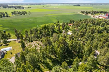 Bild av trädgården