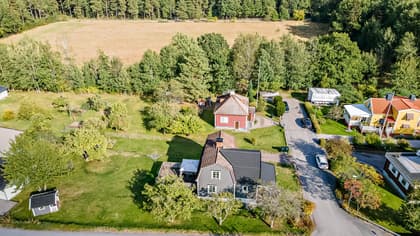 Bild av trädgården