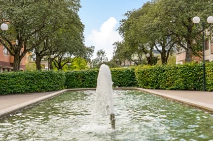 Bild av trädgården