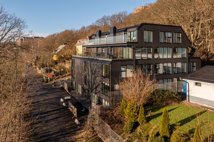 Bild av trädgården