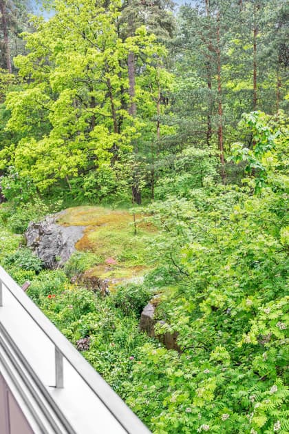 Bild av trädgården