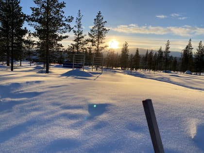 Bild av trädgården