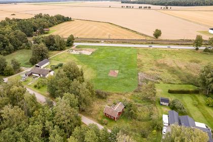 Bild av trädgården