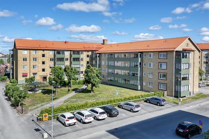 Bild av trädgården