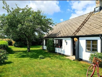 Bild av trädgården