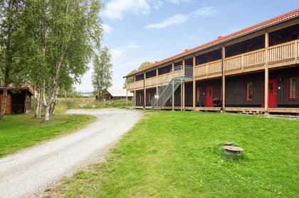 Bild av trädgården