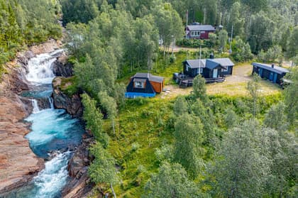 Bild av trädgården