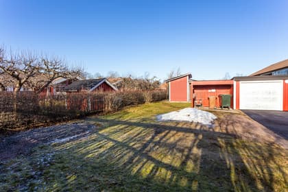 Bild av trädgården