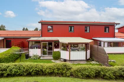 Bild av trädgården