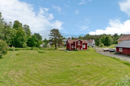 Bild av trädgården