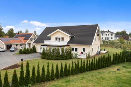 Bild av trädgården