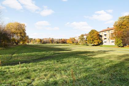 Bild av trädgården