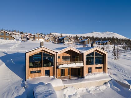 Bild av trädgården