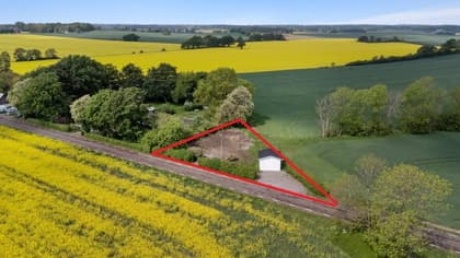 Bild av trädgården