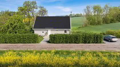 Bild av trädgården