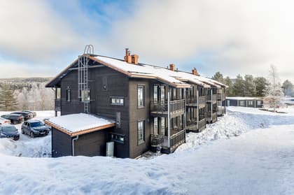 Bild av trädgården